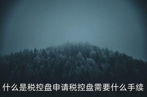 什么是稅控盤(pán)申請(qǐng)稅控盤(pán)需要什么手續(xù)