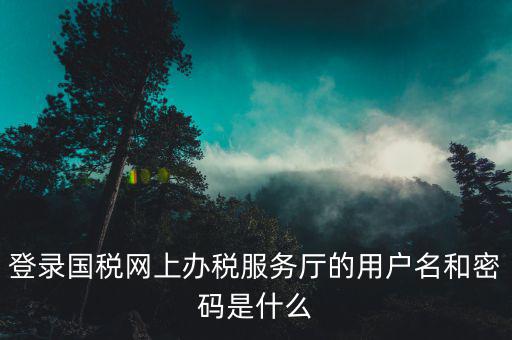 稅務查詢賬號密碼是什么意思，登錄國稅網上辦稅服務廳的用戶名和密碼是什么