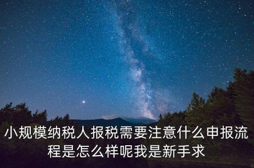 報稅需要注意什么手續(xù)，一般納稅人每個月怎么報稅報稅時要注意什么流程是怎么樣的