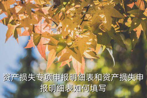 什么是專項(xiàng)資產(chǎn)損失申報(bào)表，所得稅申報(bào)表怎么填22資產(chǎn)損失