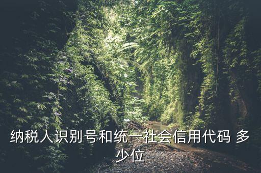 納稅人識(shí)別號(hào)和統(tǒng)一社會(huì)信用代碼 多少位