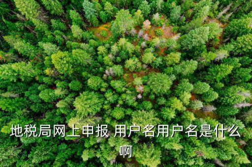 地稅局網(wǎng)上申報 用戶名用戶名是什么啊