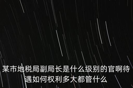 某市地稅局副局長是什么級別的官啊待遇如何權利多大都管什么