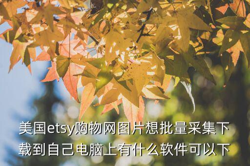 美國etsy購物網圖片想批量采集下載到自己電腦上有什么軟件可以下