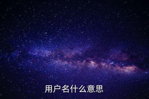 微稅用戶名是什么意思啊，用戶名什么意思