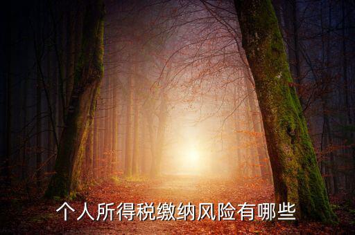 所得稅申報時有什么風(fēng)險提示，個人所得稅繳納風(fēng)險有哪些