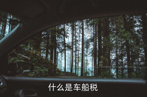 什么是車船稅