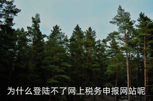 為什么登不上電子稅務局，為什么登陸不了網上稅務申報網站呢