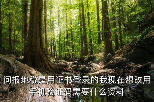 湖南地稅什么叫證書登陸，地稅數(shù)字證書是什么