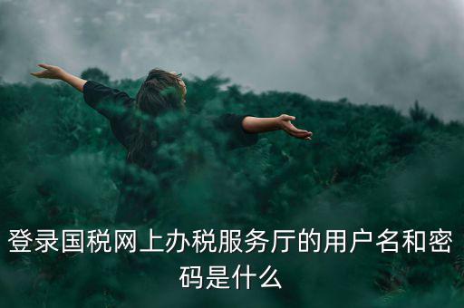 登錄國稅網(wǎng)上辦稅服務(wù)廳的用戶名和密碼是什么