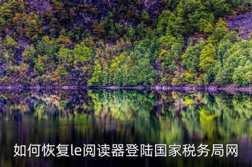 如何恢復(fù)le閱讀器登陸國家稅務(wù)局網(wǎng)