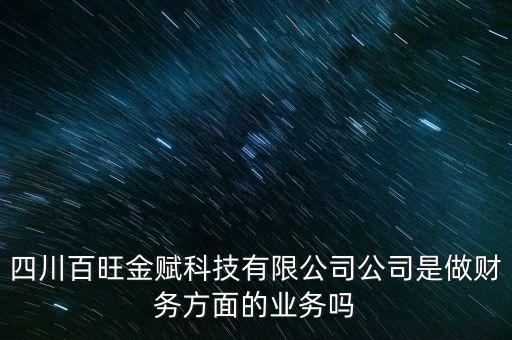 四川百旺金賦科技有限公司公司是做財務方面的業(yè)務嗎