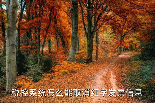 撤銷紅字信息表需要什么，我是購(gòu)貨方開具紅字信息表錯(cuò)誤去稅務(wù)局撤銷信息表查看描寫