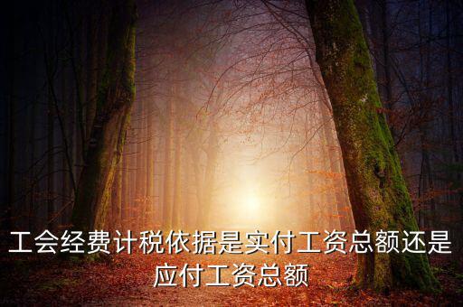 工會經(jīng)費(fèi)計(jì)稅依據(jù)是實(shí)付工資總額還是應(yīng)付工資總額