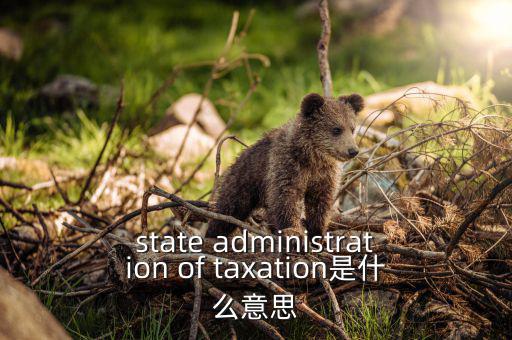 state administration of taxation是什么意思