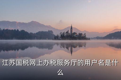 網(wǎng)上辦稅平臺(tái)帳號(hào)是什么，地稅網(wǎng)上申報(bào)用什么帳號(hào)