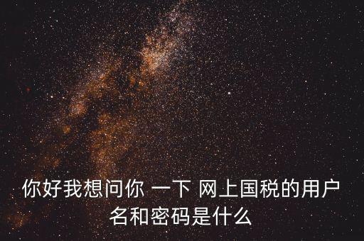 你好我想問你 一下 網(wǎng)上國稅的用戶名和密碼是什么