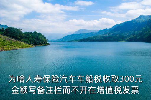 為啥人壽保險汽車車船稅收取300元金額寫備注欄而不開在增值稅發(fā)票