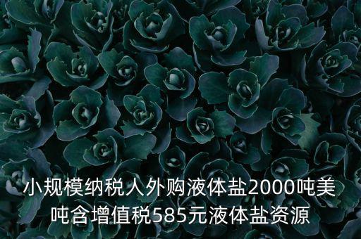 小規(guī)模納稅人外購液體鹽2000噸美噸含增值稅585元液體鹽資源