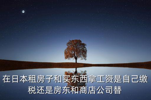 日本租稅法是什么稅，在日本租房子和買東西拿工資是自己繳稅還是房東和商店公司替