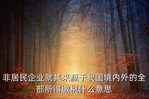 非居民企業(yè)就其來源于我國境內(nèi)外的全部所得繳稅什么意思