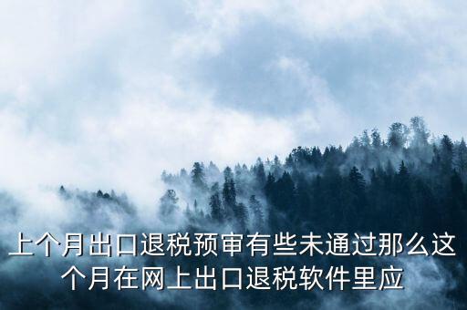 上個(gè)月出口退稅預(yù)審有些未通過(guò)那么這個(gè)月在網(wǎng)上出口退稅軟件里應(yīng)