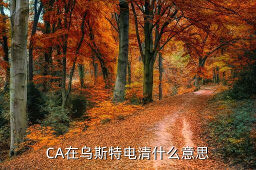 ca控件什么意思，CA在烏斯特電清什么意思