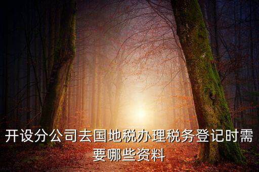 分公司地稅辦理需要什么材料，辦理分公司的稅務(wù)登記證需要準(zhǔn)備哪些資料