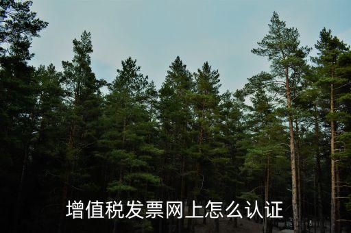 增值稅發(fā)票網(wǎng)上怎么認證