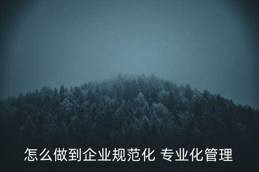 專業(yè)化公司如何管理，專業(yè)化企業(yè)的建議