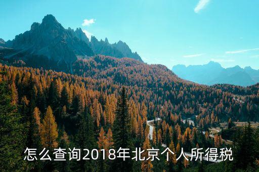 怎么查詢2018年北京個(gè)人所得稅