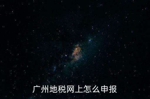 廣州地稅網上怎么申報