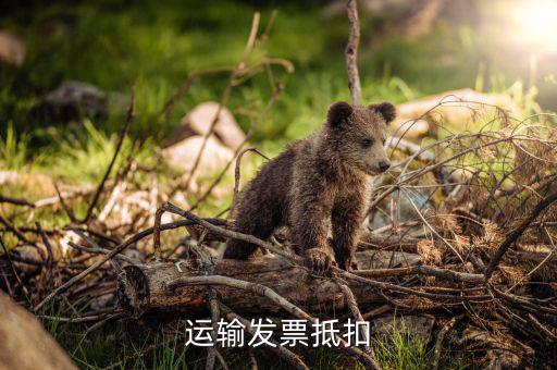 鐵路運輸發(fā)票如何抵扣，運費發(fā)票如何抵扣