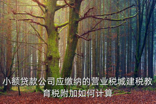 小額貸款公司如何繳稅，小額貸款公司的營業(yè)稅怎么算 sitewenwensosocom