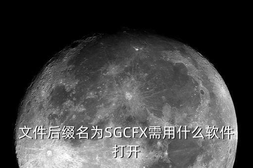 稅收調(diào)查用什么程序打開，文件后綴名為SGCFX需用什么軟件打開