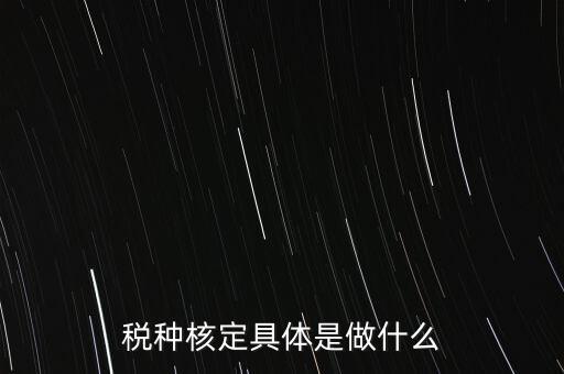 稅種核定具體是做什么