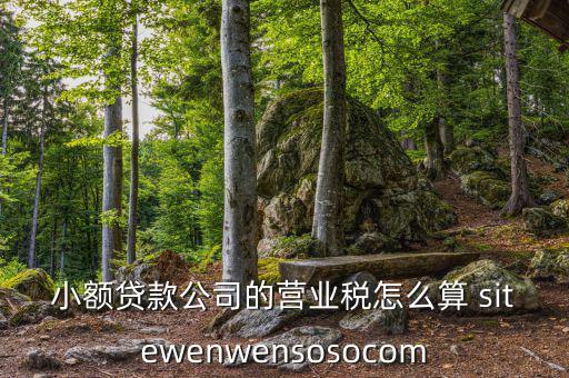 小額貸款公司的營(yíng)業(yè)稅怎么算 sitewenwensosocom