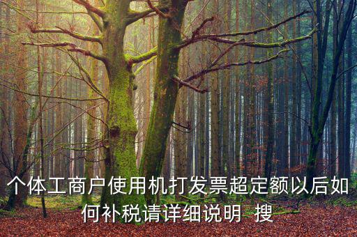 個體工商戶使用機打發(fā)票超定額以后如何補稅請詳細說明  搜