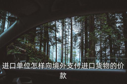 企業(yè)如何境外付款嗎，進(jìn)口單位怎樣向境外支付進(jìn)口貨物的價(jià)款