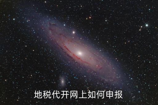 地稅代開網(wǎng)上如何申報