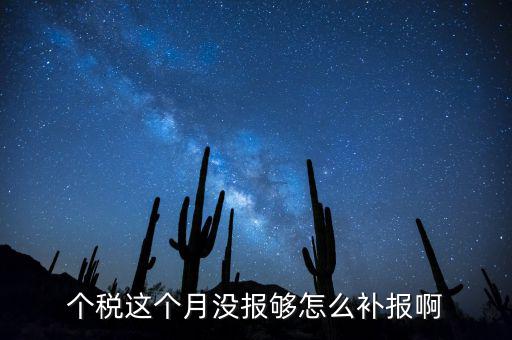 如何補(bǔ)報(bào)個(gè)人所得稅，個(gè)人所得稅報(bào)錯(cuò)了怎么補(bǔ)報(bào)