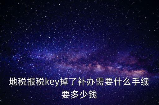 地稅報稅key掉了補辦需要什么手續(xù)要多少錢