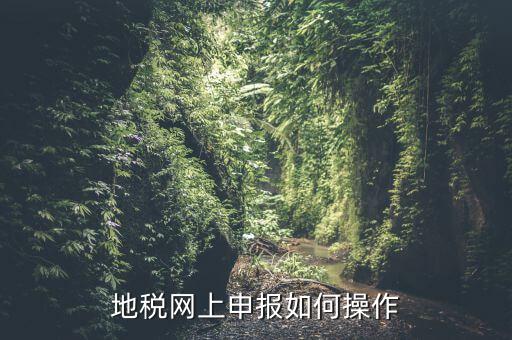 地稅網(wǎng)上申報如何操作