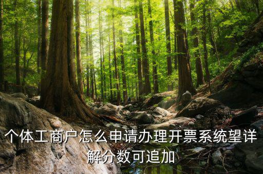 個體工商戶怎么申請辦理開票系統(tǒng)望詳解分數(shù)可追加