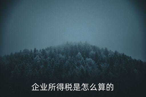 公司所得稅如何計算，企業(yè)所得稅該怎么計算