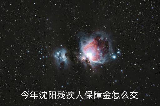 今年沈陽(yáng)殘疾人保障金怎么交