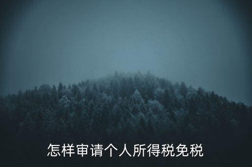 怎樣審請(qǐng)個(gè)人所得稅免稅