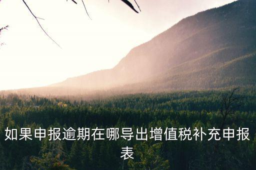 如果申報逾期在哪導(dǎo)出增值稅補(bǔ)充申報表