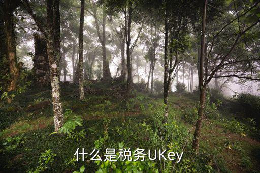 稅務(wù)局ukey是什么，什么是稅務(wù)UKey