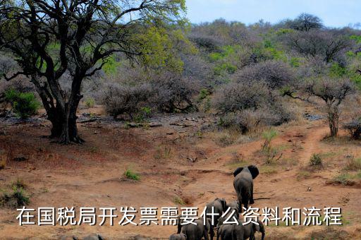 國稅局批票如何辦理，在國稅局開發(fā)票需要什么資料和流程